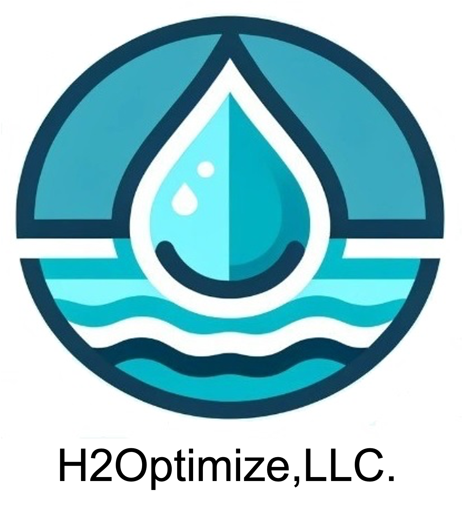 H2Optimize logo